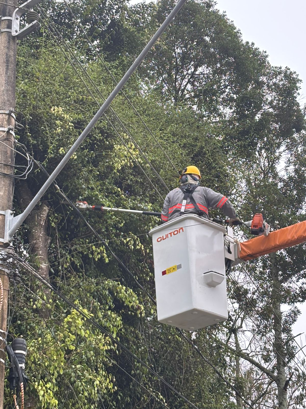 Prefeitura de Alto Caparaó solicita apoio da Cemig para realização de podas preventivas na rede elétrica