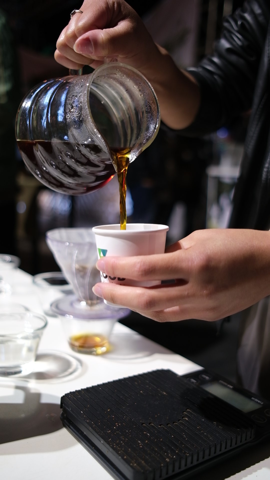 Primeiro Festival do Café de Alto Caparaó Supera Expectativas e Entra para a História da Cidade